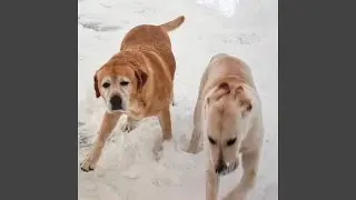i don't belong