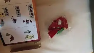 Unboxing lego jiraiya from anime naruto. #toy#lego#unboxing