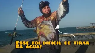 Pescaria muito boa na ponte velha de Fortaleza! 🎣