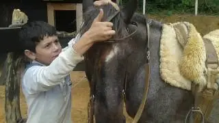 como encilhar seu cavalo