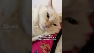 e pedir muito velou