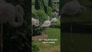 ❤