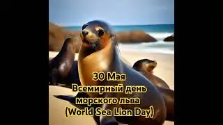 Морской лев