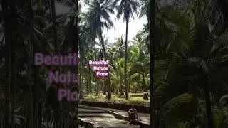 #beautiful#spotted         #nature#fypviral                  #fypspotted#shorts.    #shortsfeed