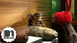 31 minutos - Nota verde - Museo Nacional de Historia Natural