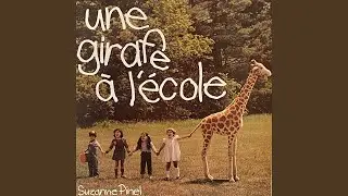 Kamé le chameau