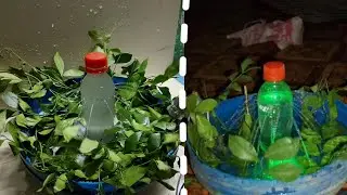 Amazing Water Fountain Light At home Water Fountain With plastic bottle