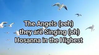 Hosanna Live (Lyric Video) by Steve Crown