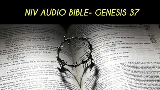 GENESIS 37 NIV AUDIO BIBLE (with text)