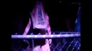 MOV07410