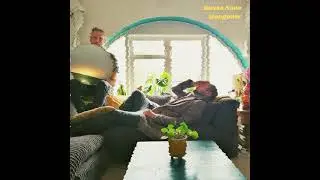 Stables - Bossa Nova Hangover