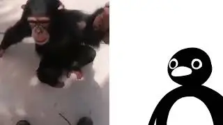 Noop Noop