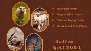Banner Animasi Promosi Hewan Qurban Kode : QurbanSimple1 | Jasa Video Promosi Usaha