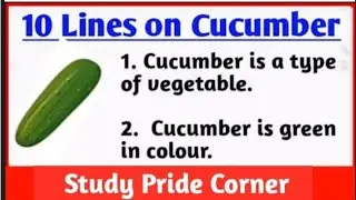10 Lines on Cucumber🥒 in English | Few Lines on Cucumber | StudyPrideCorner