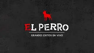 El Perro - Ser&aacute;s Mia (Cover Video)