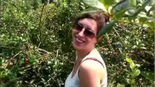 Foodie Two Shoes - Blueberry Picking