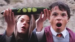 ET SI HARRY POTTER !?!? {Parodie/fanfiction Harry Potter}