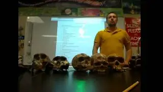 Biology Honors (2015-11-13) - Human Evolutionary Patterns