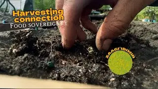 Building a regenerative farm to grow medicine! 