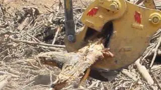 SolesbeeExShear1