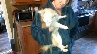 Lil Lady (Peanut) Found her voice