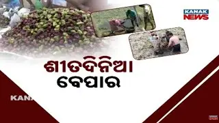 Bazaar Halchal: Water Chestnut Boom! 2 Young Odisha Farmers Earn ₹60,000 a Month from Seasonal Crop