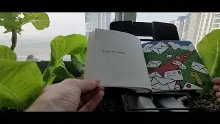 20. Little Miss Quick  💙 Read Aloud 영어동화책낭독 ~수능시험 응원해요