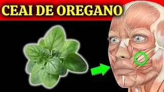 DACĂ BEI CEAI DE OREGANO ÎN FIECARE ZI, IATĂ CE SE VA ÎNTÂMPLA CU ORGANISMUL TĂU!