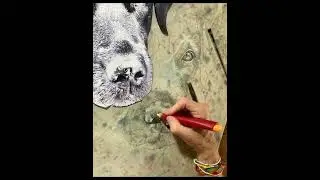 Starting a Pet Portrait in Textile Art | Black Labrador