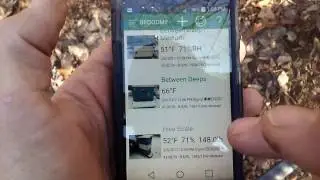 Using The BroodMinder App