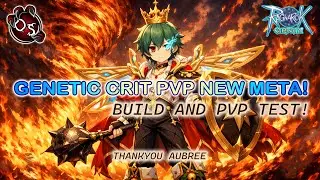 Генетическая мета-сборка для PvP с одним критическим ударом - Безумная - Ragnarok Origin Global