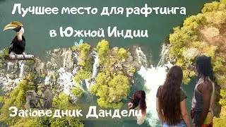 Заповедник Дандели | Рафтинг и дикая природа Индии | Экскурсии из Гоа