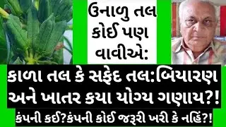 ઉનાળુ વાવેતર તલ: બિયારણ અને ખાતર પસંદગી વખતે કયા મુદ્દાઓ ધ્યાને લેવાના:બીજ કંપનીનુ જ જોઈએ કે નહીં?!