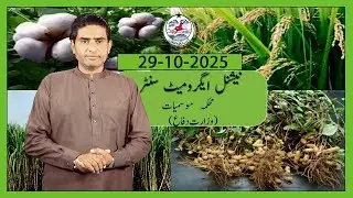 Прогноз погоды для фермеров в Пакистане | 29 октября 2025 г. | PMD Agriculture Weather Update