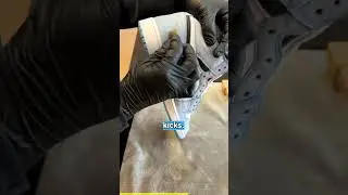 The Best Sneaker Cleaner For Air Jordan 1's