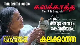 kalakkatha song lyrics meaning explained Tamil and English | Ayyappanum Koshiyum