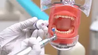 🦷 Prophy Paste: Effective, Hygienic & Flavorful Dental Cleaning Solution! 🌟