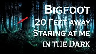 Bigfoot 20 Feet Away Staring at Him in the Dark. Marathon_62