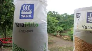 Programa de nutrición Yara para Café - Testimonial - Cecilia Leticia Sosa Cortes