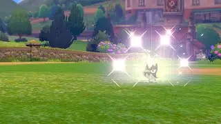 LIVE SHINY ROOKIDEE 5029 REs!!! + Murder Method Experimentation & Discussion (Pokemon Shield)