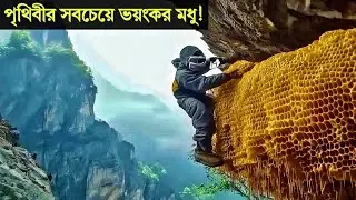 পৃথিবীর সবচেয়ে বিপজ্জনক মধু 😱 | Himalayan Mad Honey Story