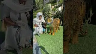 LIFE SIZE Fully crystalized tiger statue!