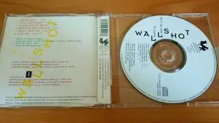 Wallshot - Ain't No Time To Waste (Radio Edit)