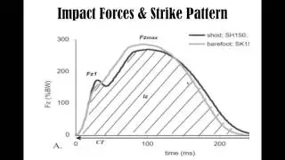 Run Injury Free!  Activate the Innate Loading Response with Dr Emily Splichal