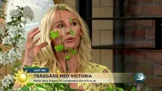 Victoria Skoglund: 