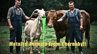 Mutated Farm Animals in Chernobyl - Found footage AI Horror