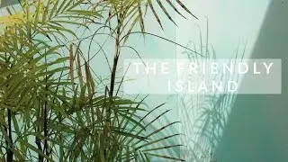 The Friendly Island