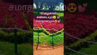 💞Ego  less  friendly life lines💞