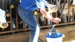Drench-Mate Mini Dose