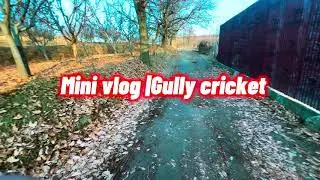 Gully Cricket in Kashmir | Raw Street Cricket Vibes